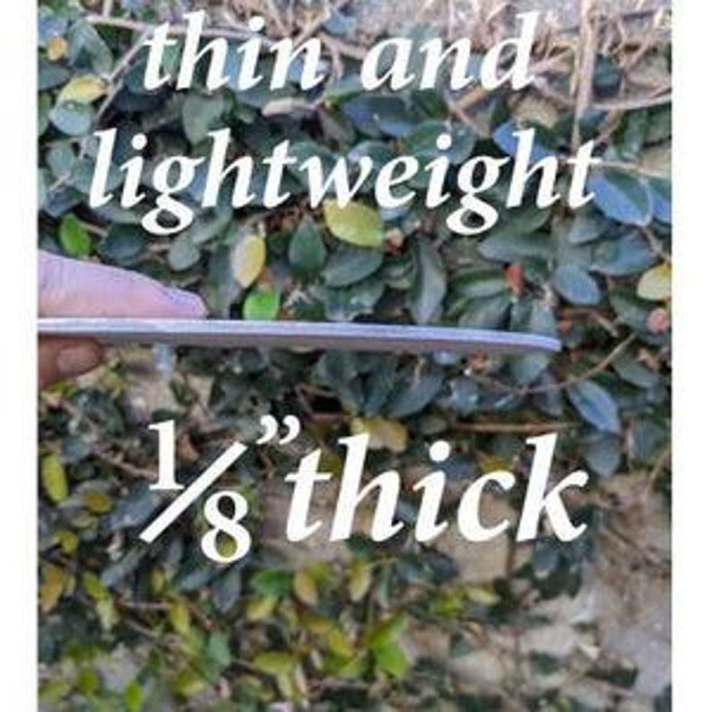 May include: Close-up of a thin, silver metal sheet. The sheet is 1/8 inch thick and appears to be flexible. The sheet is lying on a bed of green leaves.