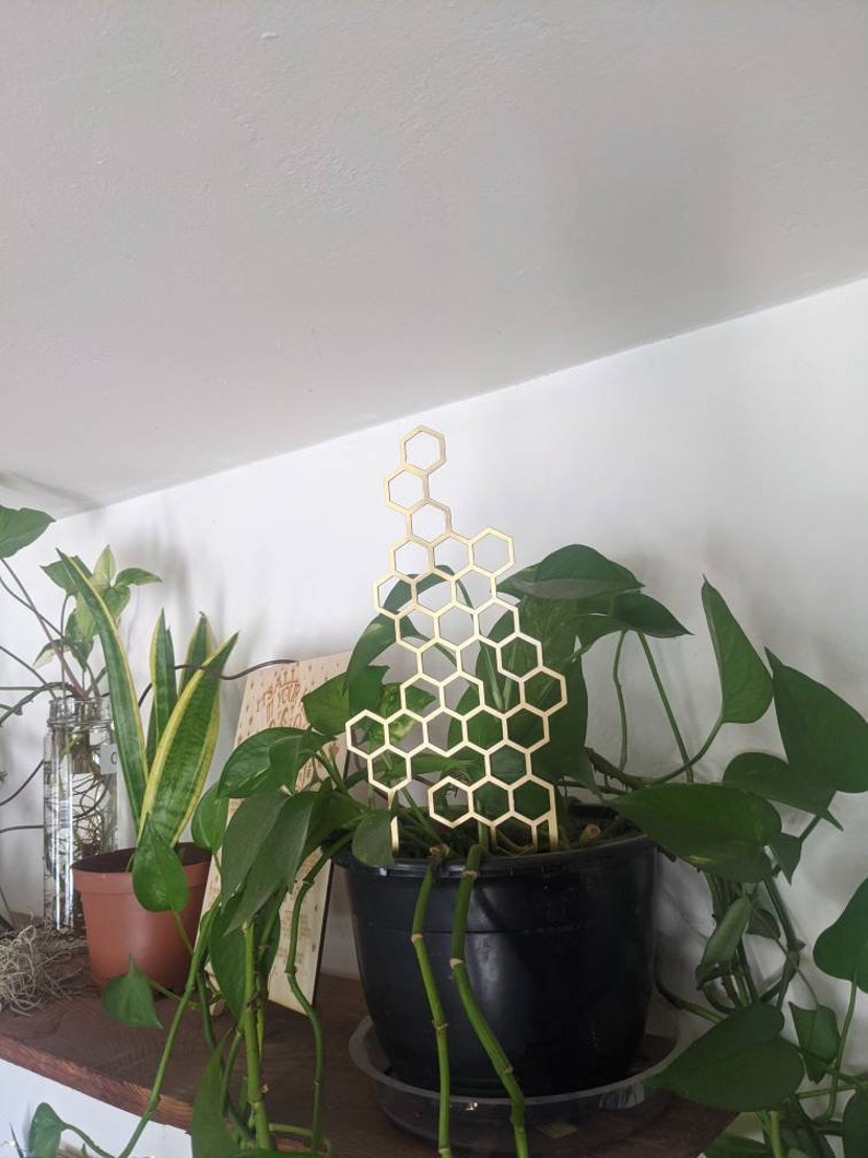 May include: A gold metal honeycomb-shaped plant trellis is placed in a black pot with a green leafy plant. The plant is growing up the trellis. The pot is sitting on a wooden shelf.