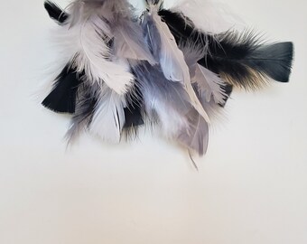 Feather Earrings