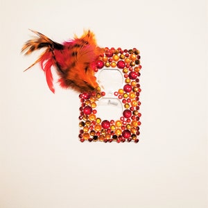 Light Switch Cover