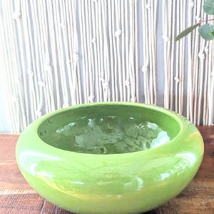 May include: A bright green ceramic planter with a rounded, bowl-like shape. The planter is sitting on a wooden surface.
