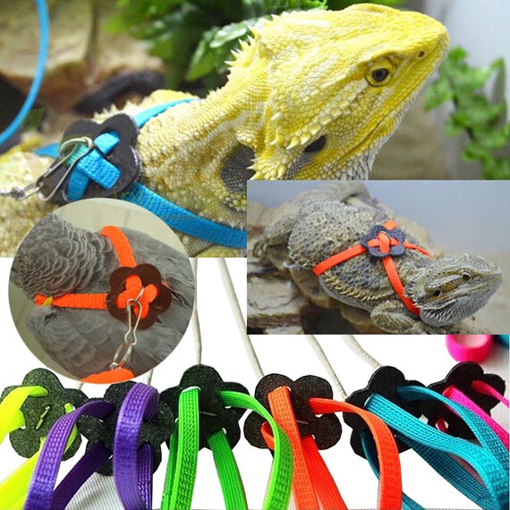 Multi Color Light Soft Fashion for Small Reptiles Pets Small Animal Nylon Leash(Purple Adjustable Lizard Harness Leash