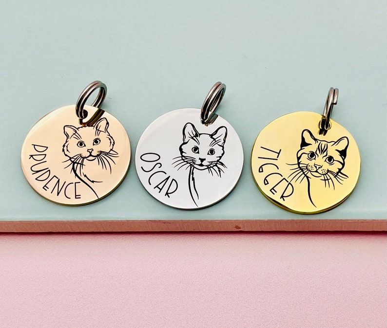 clever cat tags not lost