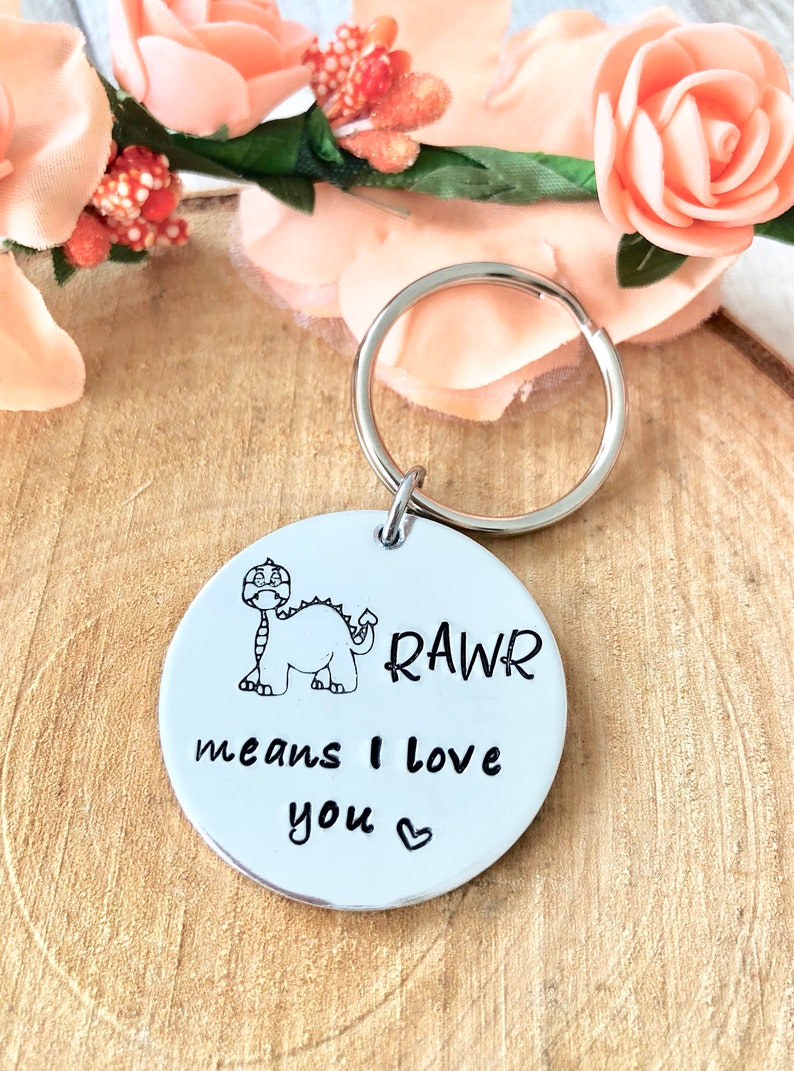 RAWR Means I Love You in Dinosaur Funny Valentines Gift Him Her Dad Hoodie