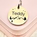 see more listings in the Pet Tags/Pet Accessories section