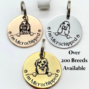 Dog Tag, Name Tag, Pet ID, Dog Name Disc, Engraved Stainless Steel image 1