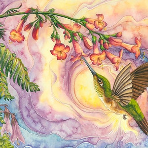Colibri carte - cartes colibri - oiseau et fleur de carte - cadeau de colibri - colibri art - colibri-cartes de voeux - carte vierge