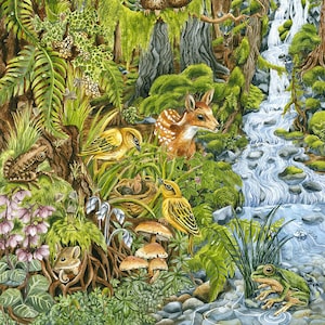 Carta di arte Oldgrowth foresta, dipinto acquerello originale, foresta pluviale, natura, realismo, rane, fiume, bambini arte, fauna selvatica, costa occidentale