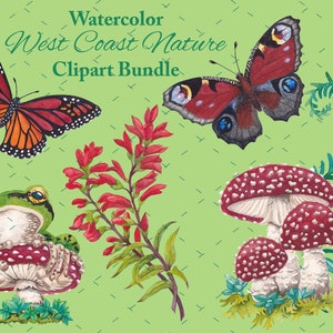 Lot de 3 cliparts nature côte ouest - Clipart forêt - aquarelle - peint à la main - papillon - champignon - fougère - grenouille - 300 DPI - PNG