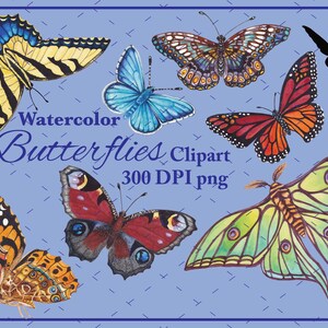 Schmetterling Clipart - Motten - Aquarell Schmetterlinge Clip Art - Handbemalt - Digital Download - PNG - High Res - Schmetterling Illustrationen