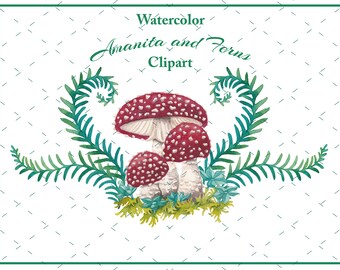 Imágenes prediseñadas de setas Amanita en acuarela – Helechos del bosque (descarga digital PNG)