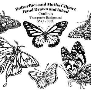 Butterflies Clipart - Butterfly and Moth Clip art - Hand Drawn and Inked - Black and White - SVG + PNG - Transparent Background