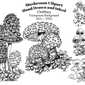 Mushrooms Clipart - Amanita Clip art - SVG - PNG - Hand Drawn - Inked - Black and White - Botanical Illustration - Line Art - Pen and Ink