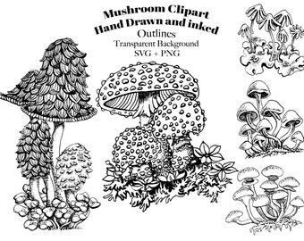 Mushrooms Clipart - Amanita Clip art - SVG - PNG - Hand Drawn - Inked - Black and White - Botanical Illustration - Line Art - Pen and Ink