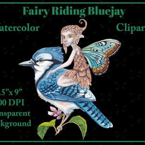 Clipart de fada - Bluejay - Fantasy Nature Clip art - Aquarela - Pintado à mão - Download digital - Fundo transparente - 300 DPI - PNG
