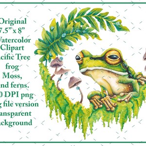 Clipart aquarelle grenouille et fougère - peint à la main - haute résolution png 300 DPI + version vectorielle - fond transparent