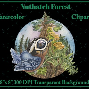 May include: Watercolour clipart of a Nuthatch Forest with a blue bird perched on a tree branch with mushrooms. The image is 8 inches by 8 inches and has a transparent background.