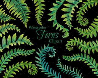 Ferns Clipart - Watercolor Ferns Clip art - Hand painted - Ferns Illustration - Transparent Background - Digital Download - 300 DPI - PNG
