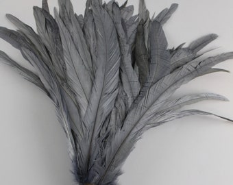 Gray 20 pcs 12"-14"  Rooster Coque Tail Feathers for Crafting, Decoration, Wedding, Millinery Supply, Fly Tying, DIY Feather Decoration