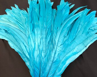 turquoise feathers for sale