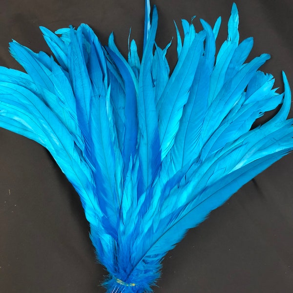 Turquoise 20pcs Rooster Coque Tail Feathers for Crafting, Decoration, Weddng, Millinery Supply, Fly Tying, DIY Feather Decoration