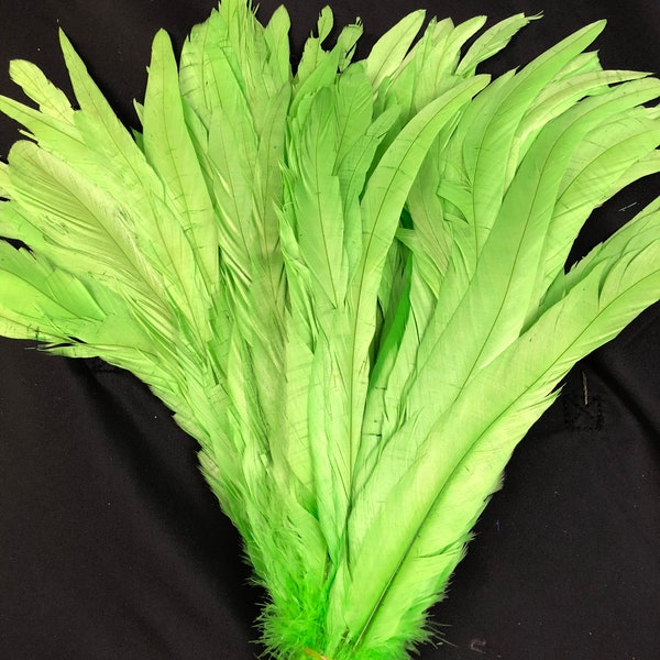 Lime Green 20pcs Coq Coque Queue Plumes pour l’artisanat, décoration, Weddng, Fourniture de chapellerie, Fly Tying, Décoration de plumes de bricolage