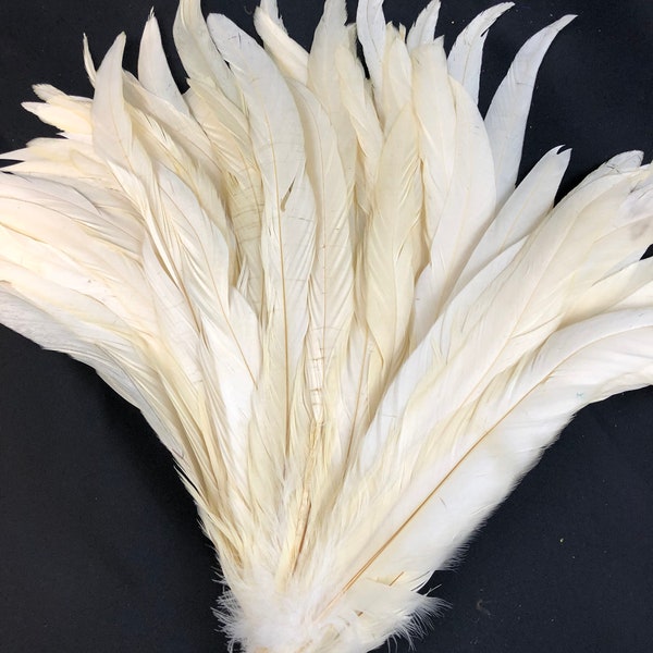 White 20pcs Rooster Coque Tail Feathers for Crafting, Decoration, Weddng, Millinery Supply, Fly Tying, DIY Feather Decoration