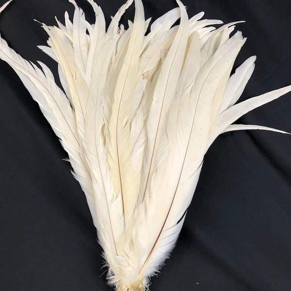 White Color 20pcs 14"-16"  Rooster Coque Tail Feathers for Crafting, Decoration, Weddng, Millinery Supply, Fly Tying, DIY Feather Decoration