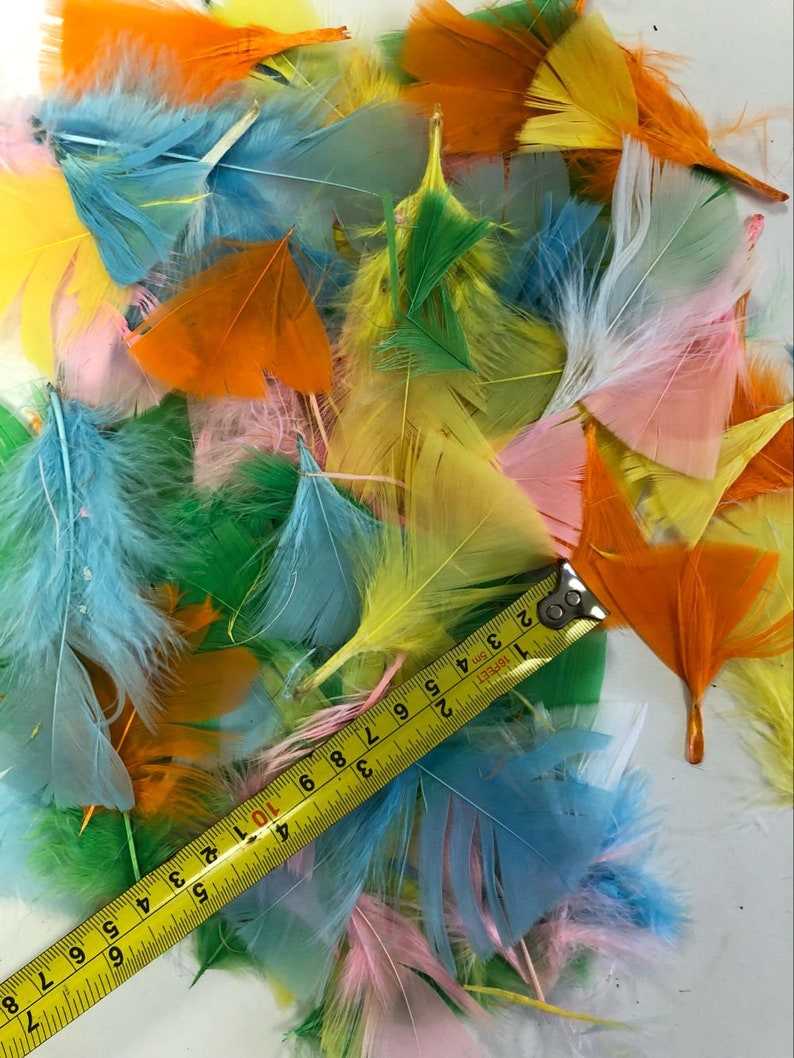 2''5'' Colorful Feathers in Bulk DIY Etsy