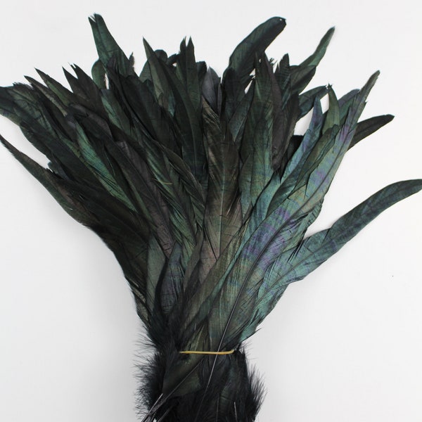 Black 20pcs 12"-16 Rooster Coque Tail Feathers for Crafting, Decoration, Weddng, Millinery Supply, Fly Tying, DIY Feather Decoration