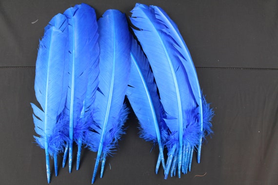 6 Pieces Turquoise Blue Turkey Pointers Primary Wing Quills