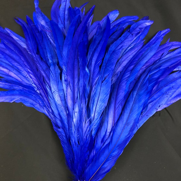 Royal Blue 20pcs Rooster Coque Tail Feathers for Crafting, Decoration, Weddng, Millinery Supply, Fly Tying, DIY Feather Decoration