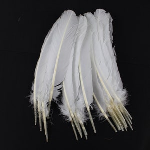 Mixed Craft Feathers DIY Craft Supplies Feather Hair Accessories