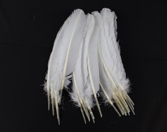 20 pcs White 10-12 inch Turkey Quill Feathers, Primary Wing Quill Large Feathers Craft Costume, Wholesale Feather Supplier