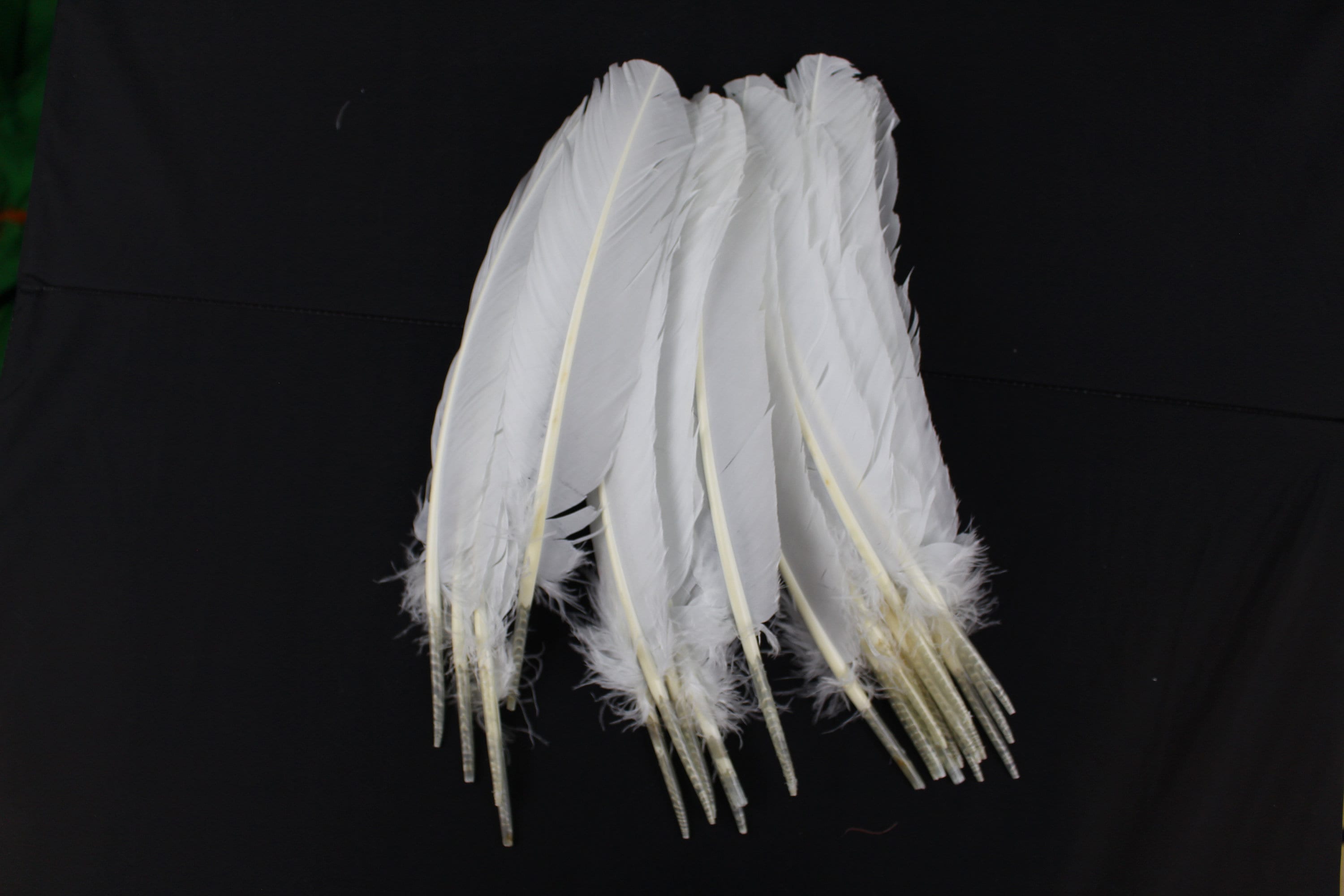 Black Ostrich Feathers Bulk - 20Pcs Making Kit 22 Inch Natural Ostrich  Feathers