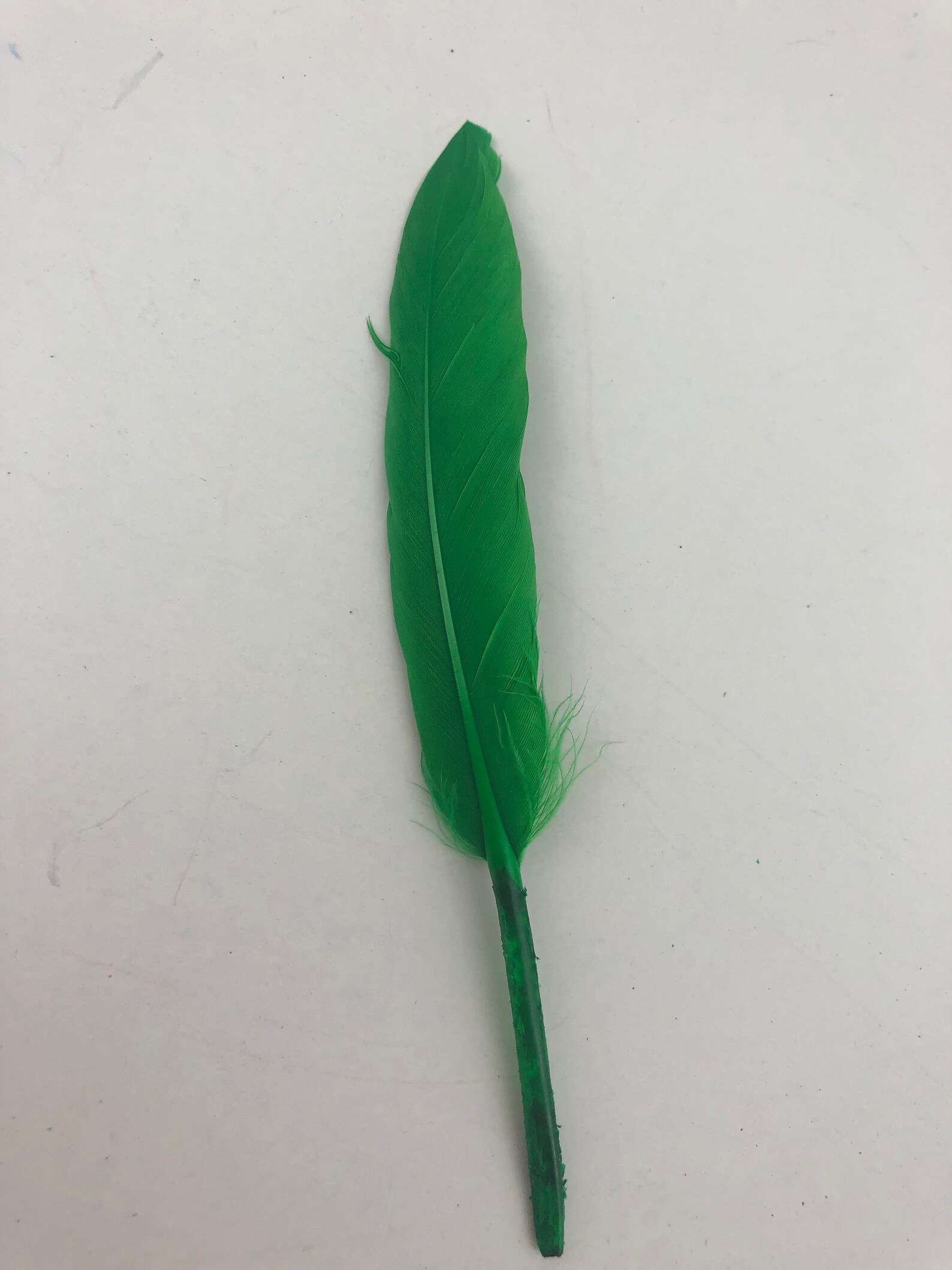 25 PCS Green Color Duck Feathers 46 Inch Long Natural Duck Etsy