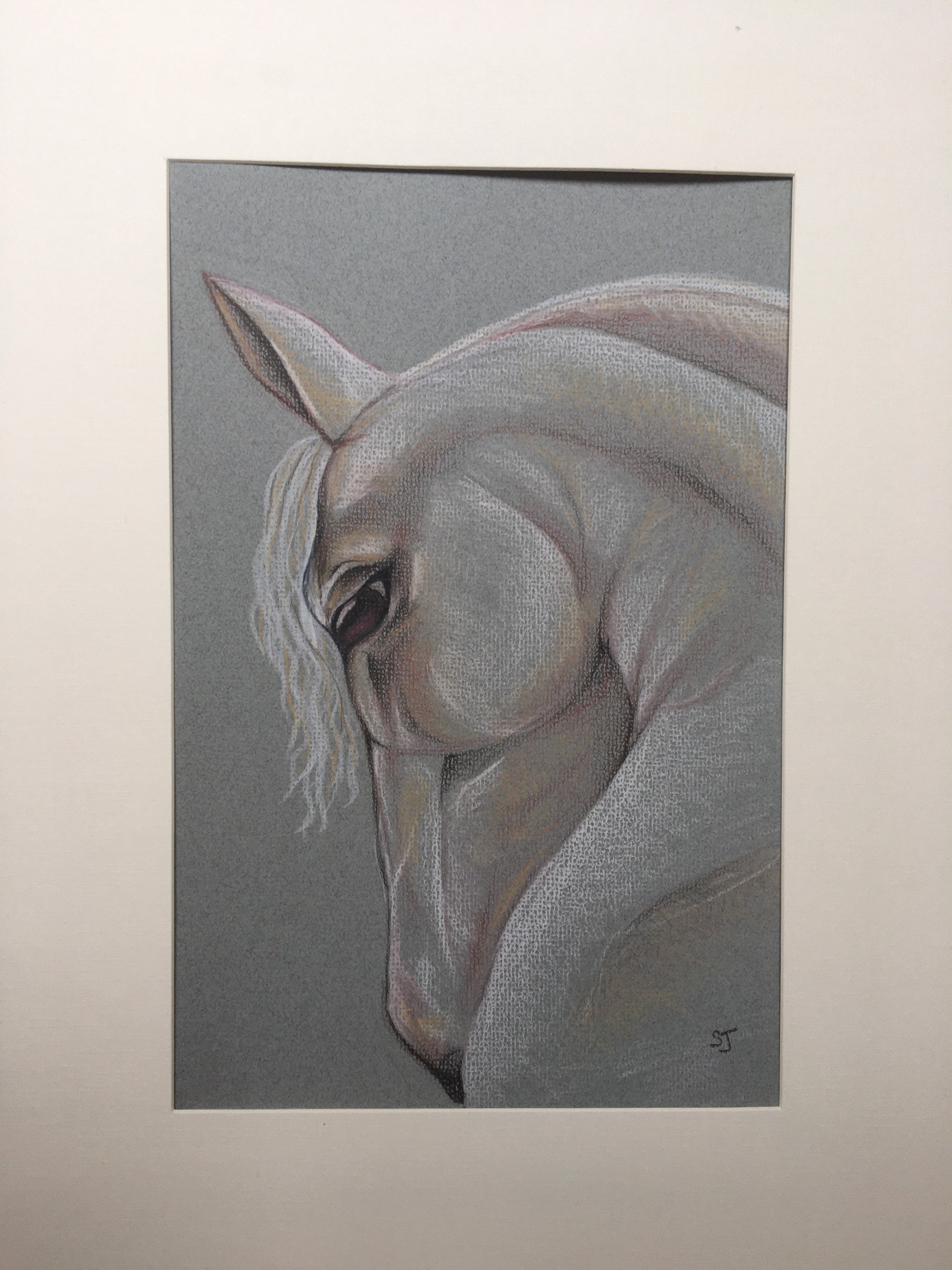 White horse art. Equine wall art Etsy