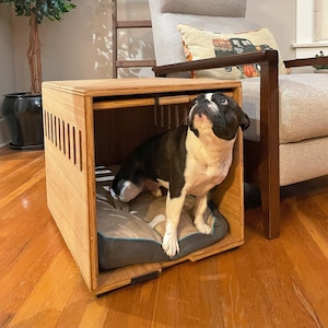 May include: A wooden dog crate with a black and white dog inside. The crate has a slatted design on the front and a gray cushion inside. The crate is sitting on a wooden floor.