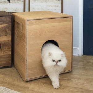 Litter Robot 4 Enclosure | Solid Wood Cabinet | Modern Cat Furniture | Odor‑Reducing Litter Box Furniture | Regular Depth LR4 Cover