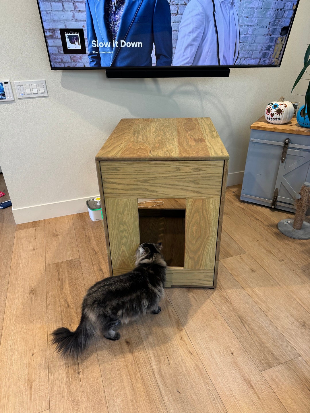 Litter Box Enclosure FOR Litter Robot 4 and 3, Modern CAT Furniture