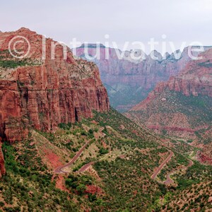 Canyon Overlook at Zion National Park, Utah #Wonderland #Zion #Canyon #RedCliffs