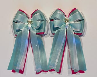 Teal & Pink Horse Show Bows: Equestrian Hair Bows(Set of 2)