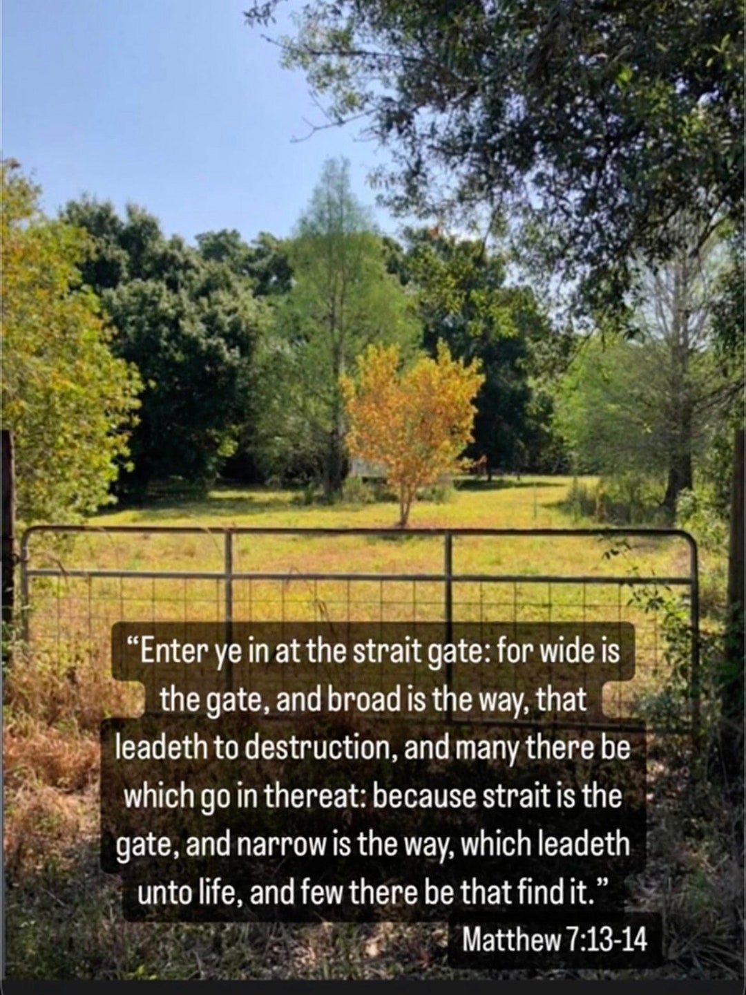 Enter Ye in at the Strait Gate Bible Verse Art Print Etsy