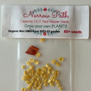 Cayenne Hot Red Pepper Seeds 50+ Non GMO