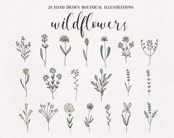 May include: 20 hand-drawn botanical illustrations of wildflowers in various colors, including pink, blue, yellow, and green. The illustrations are simple and delicate, with a minimalist style.