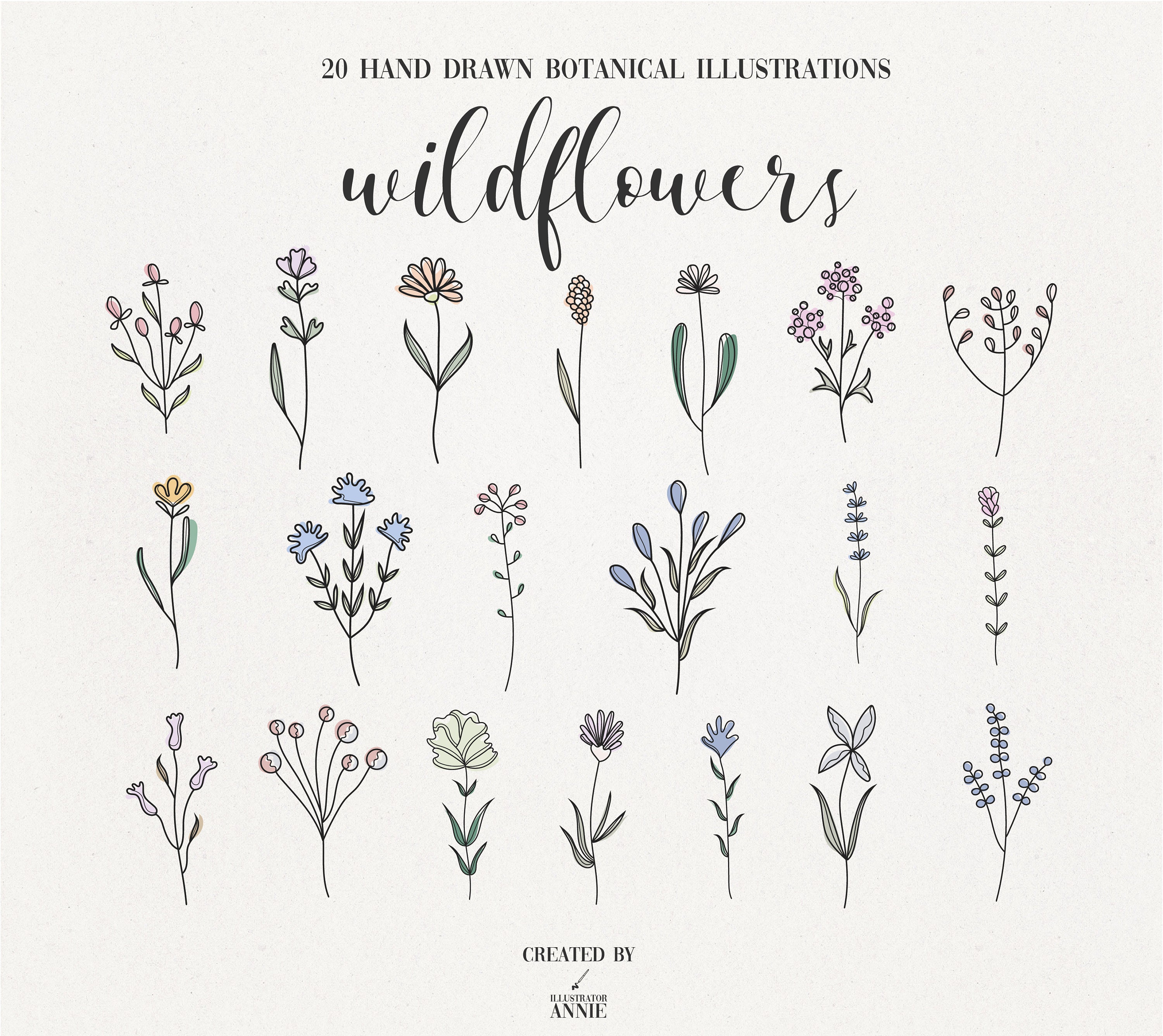 Wildflower SVG Clipart Bundle Botanical PNG Clipart Summer Etsy Canada