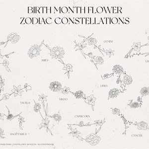 Pacchetto costellazione zodiacale fiore mese di nascita - mese di nascita fiore SVG - disegno zodiacale fiore - regalo per neonati - uso commerciale - BM1
