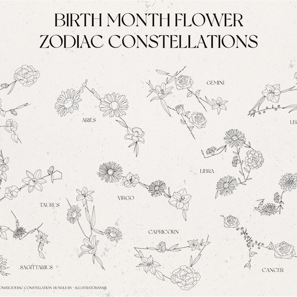 Birth Month Flower Zodiac Constellation Bundle - Birth Month Flower SVG - Flower Zodiac Drawing - Gift For Newborns - Commercial Use- BM1