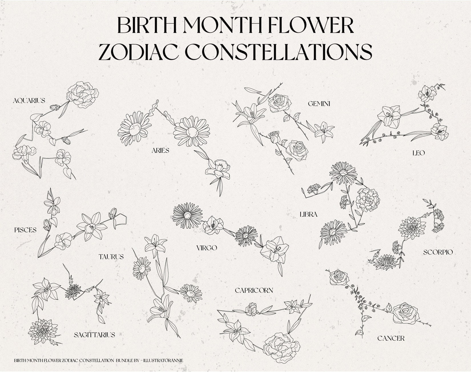 Birth Month Flower Zodiac Constellation Bundle Birth Month  Etsy  Birth  month flowers Birth flower tattoos Zodiac constellations