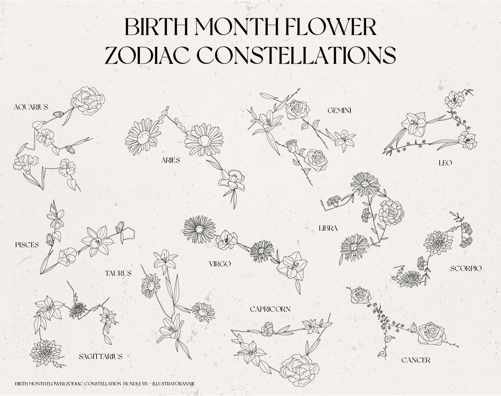 Birth Month Flower Zodiac Constellation Bundle Birth Month Etsy